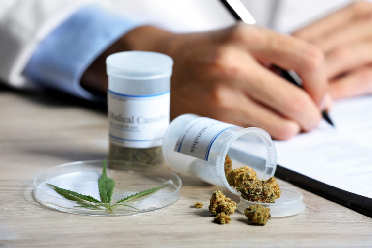 Cannabis: Senado acata sugestão popular que libera uso medicinal da substância