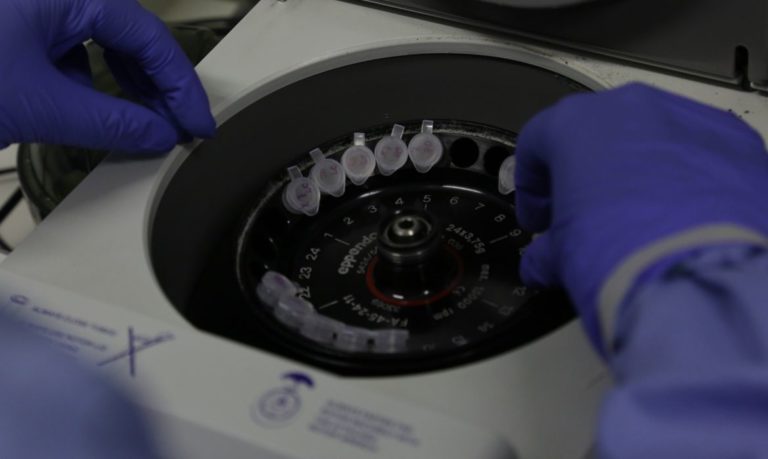 Coronavírus: Cientistas britânicos iniciam testes de vacina em humanos