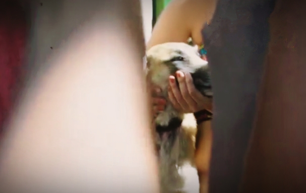 Após denúncia do Lado de Cá, vereador visita casa onde cachorro sofria maus tratos em Itaboraí. Veja o vídeo: