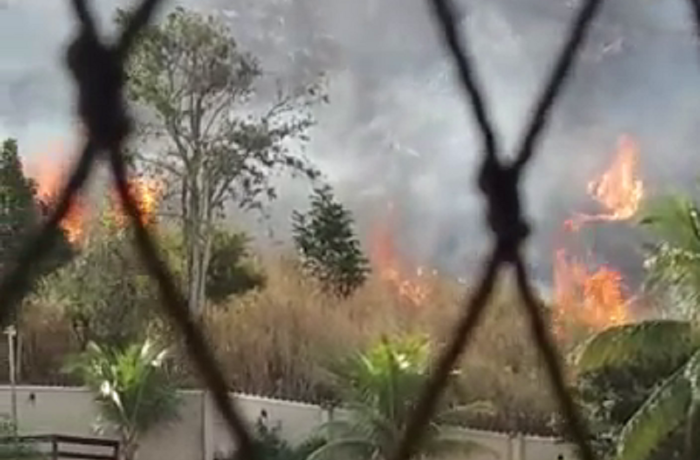 Incêndio atinge mata próxima à Av. Professor João Brasil, no Fonseca. Veja o vídeo: