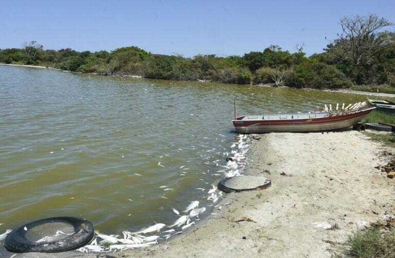 Parceria entre UFF e Maricá terá centro de pesquisas e despoluição da Lagoa no município