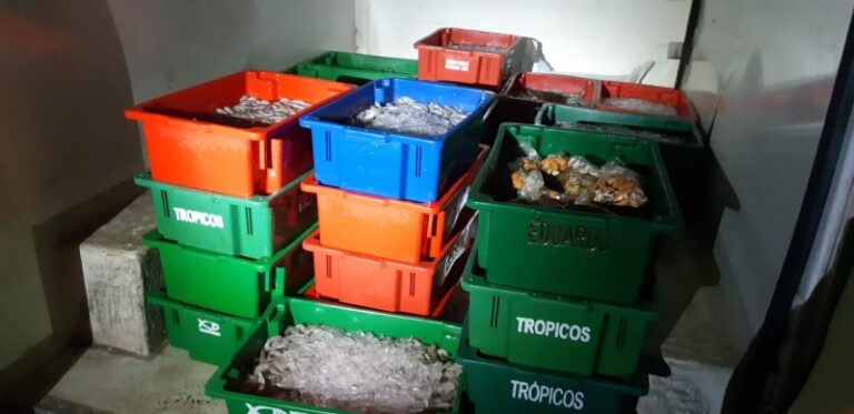 PRF apreende mais de meia tonelada de pescado em Petrópolis
