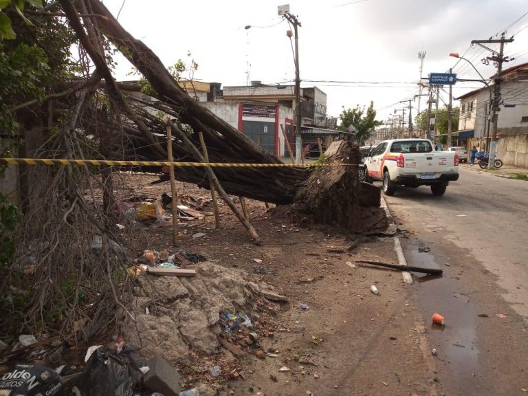 Ventania causa estragos em diversos bairros de São Gonçalo
