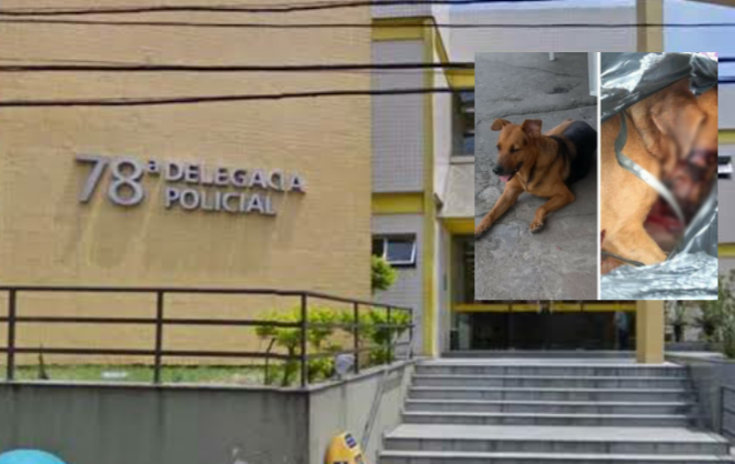 EXCLUSIVO! Comerciante é suspeito de matar cachorro a tiros no Fonseca