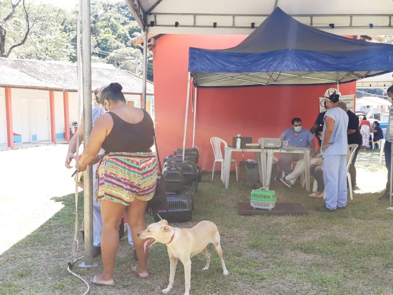 ‘Castramóvel’ atende cerca de 250 animais no bairro do Caju