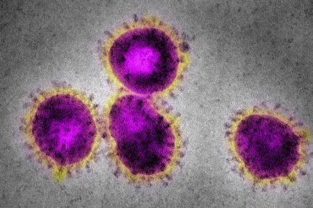Mutação do coronavírus é identificada por pesquisadores no Rio