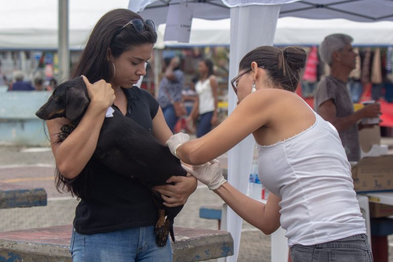 Campanha de vacinação antirrábica animal tem novas datas em Maricá