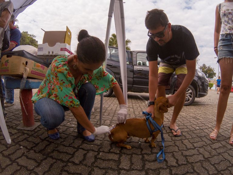Campanha de vacinação de animais em Maricá começa no fim de semana