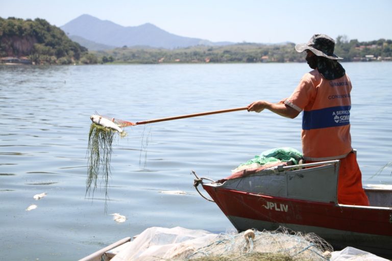 Três toneladas de peixes mortos são retiradas de lagoas em Maricá