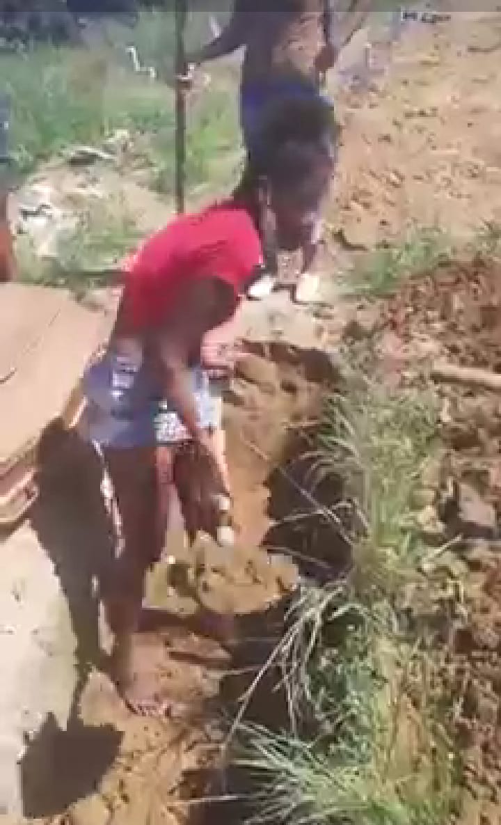 Por falta de coveiro em cemitério municipal, filhos cavam buraco para enterrar mãe; veja vídeo