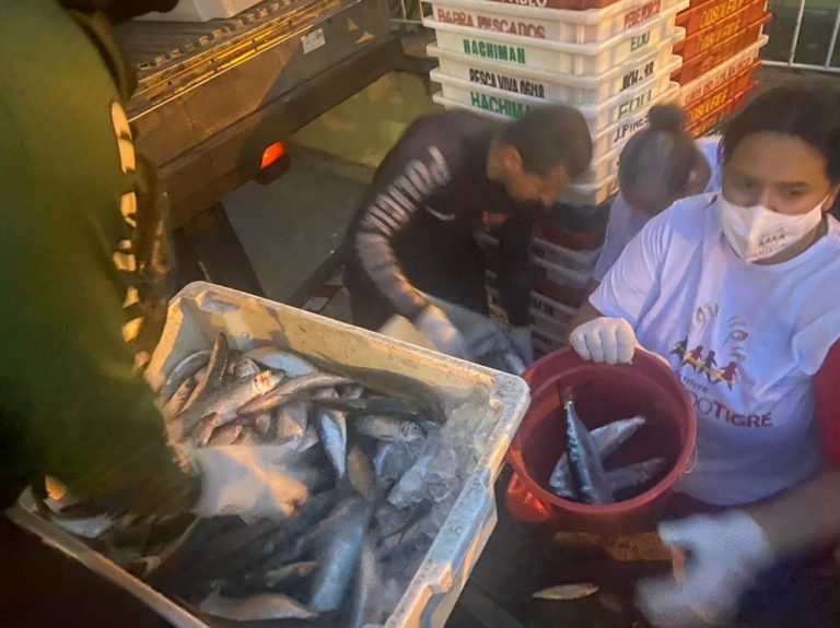 Polícia e Instituto Abraço de Tigre doam em SG oito toneladas de peixes apreendidos em Niterói