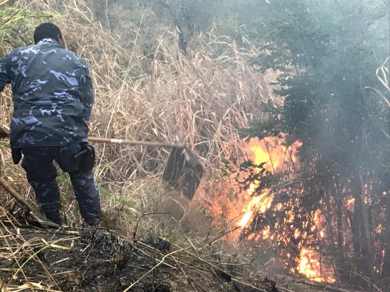 Ação rápida de guardas municipais impediu tragédia ambiental em São Gonçalo