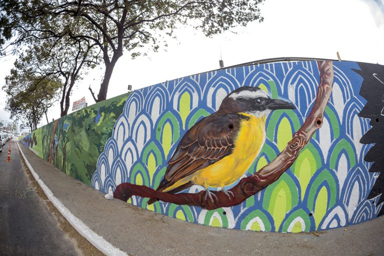Painel grafitado no viaduto de Alcântara será entregue no aniversário de São Gonçalo