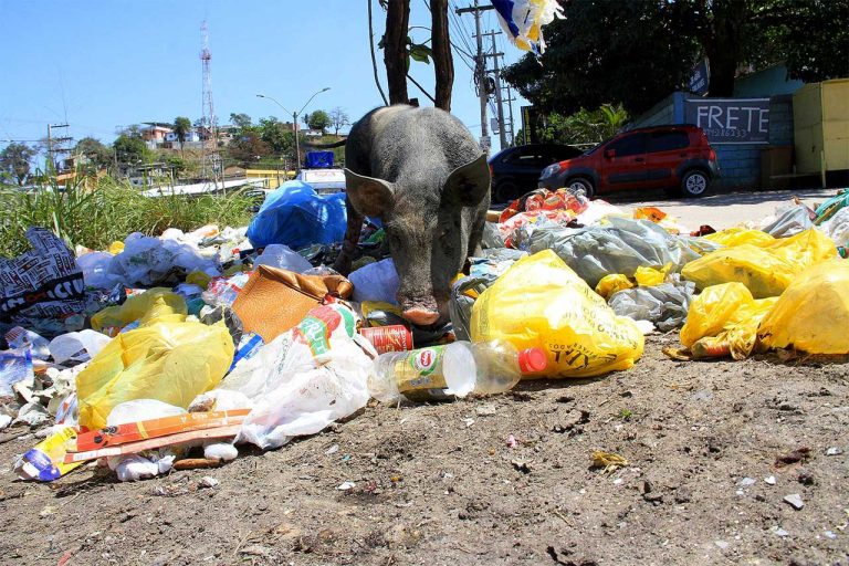 Morador de São Gonçalo que jogar lixo nas ruas e for flagrado poderá pagar multa