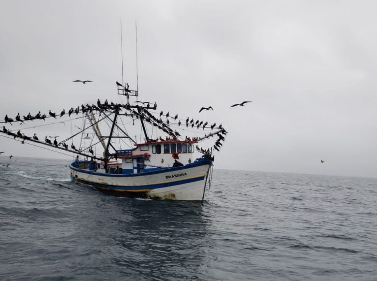 Mais de duas toneladas de pescado são apreendidas em Arraial do Cabo