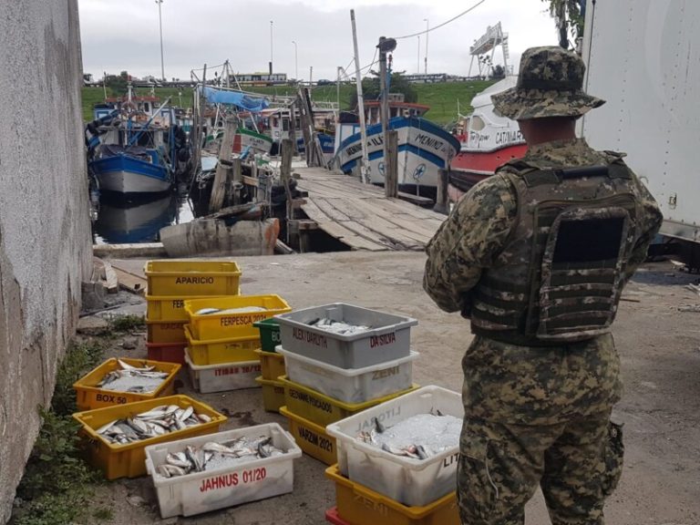 Polícia Militar apreende 400 kg de sardinha em Niterói