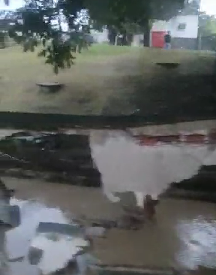 Chuva derruba muro da Enel em São Gonçalo (Veja o vídeo)