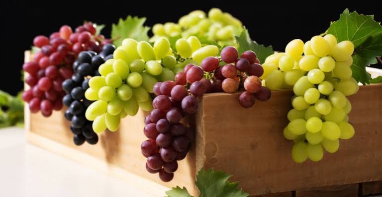 Saiba quais são os 10 benefícios da uva para o corpo