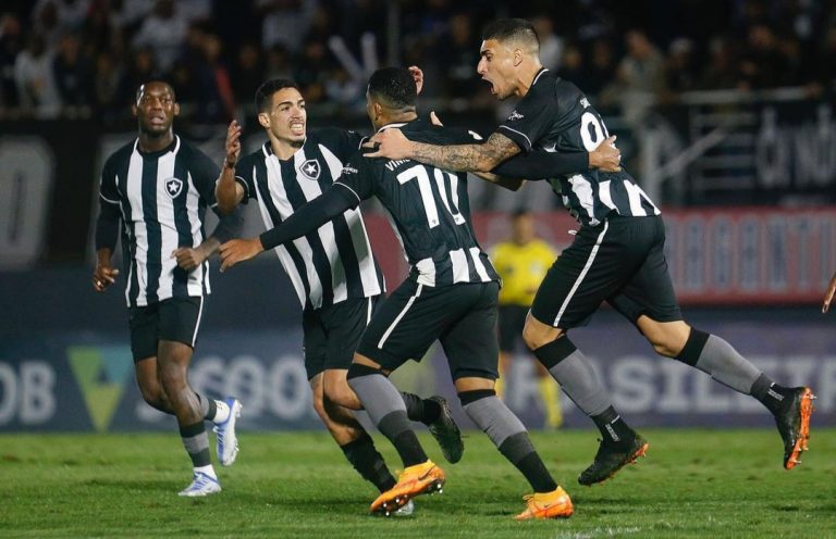 Botafogo vence e sobe para nona posição no Brasileirão