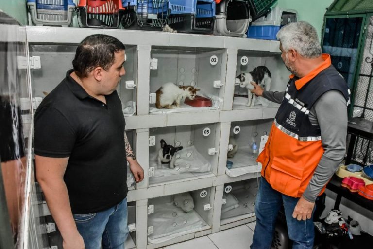 Itaboraí vai oferecer castração gratuita para animais domésticos