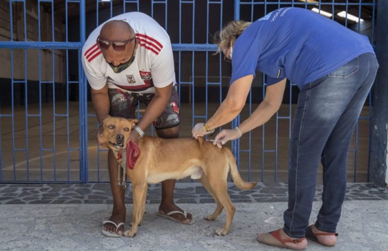 São Gonçalo realiza primeira etapa da vacinação de cães e gatos no sábado (17)