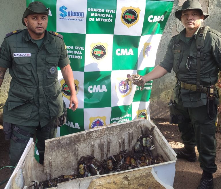 GM de Niterói apreende mais de 500 caranguejos que seriam vendidos ilegalmente