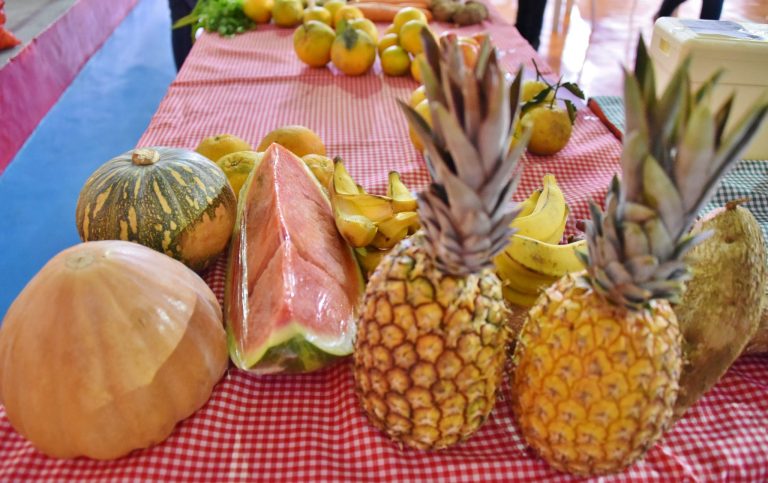 Prefeitura divulga chamada pública da agricultura familiar para aquisição de alimentos da merenda escolar