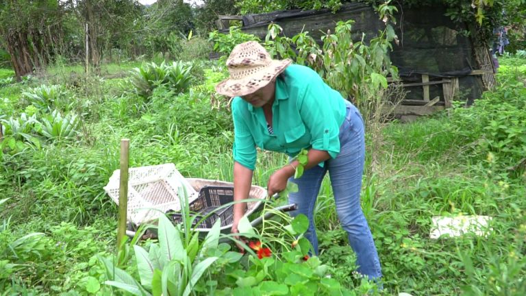 Agricultores locais vão ajudar na alimentação de famílias carentes de Tanguá