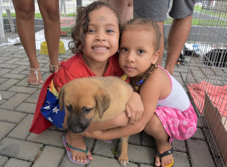 Campanha de adoção garante novo lar para 30 animais em Maricá