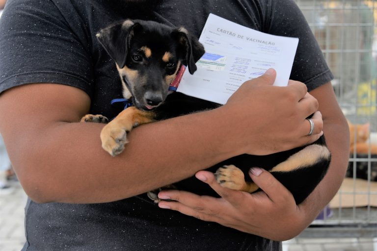 Prefeitura de Maricá promove a terceira campanha de adoção de cães e gatos