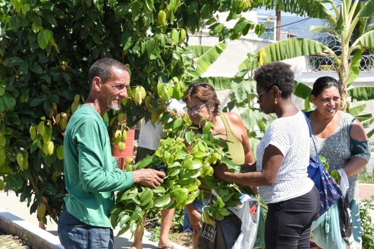 Prefeitura de Maricá distribui diversos legumes e hortaliças colhidos na Praça Agroecológica de Araçatiba
