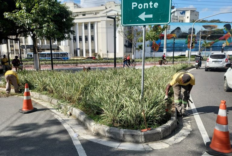 Prefeitura de Niterói faz manutenção das praças