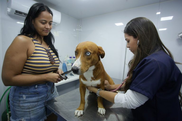 Prefeitura de Niterói vai microchipar 100 pets neste sábado (2) no Horto do Barreto