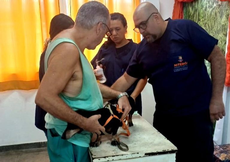 Niterói: Prefeitura implanta microchip e vacina mais de cem pets na Ilha da Conceição