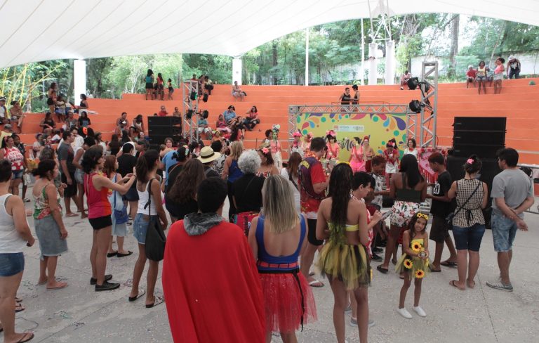 Carnaval 2024: Bairros de Niterói terão folia para toda família