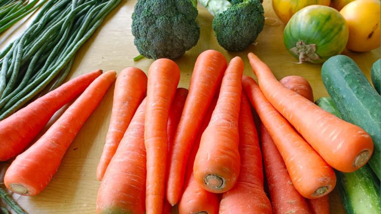 Nutricionista aponta 5 legumes que reduzem a glicose no sangue