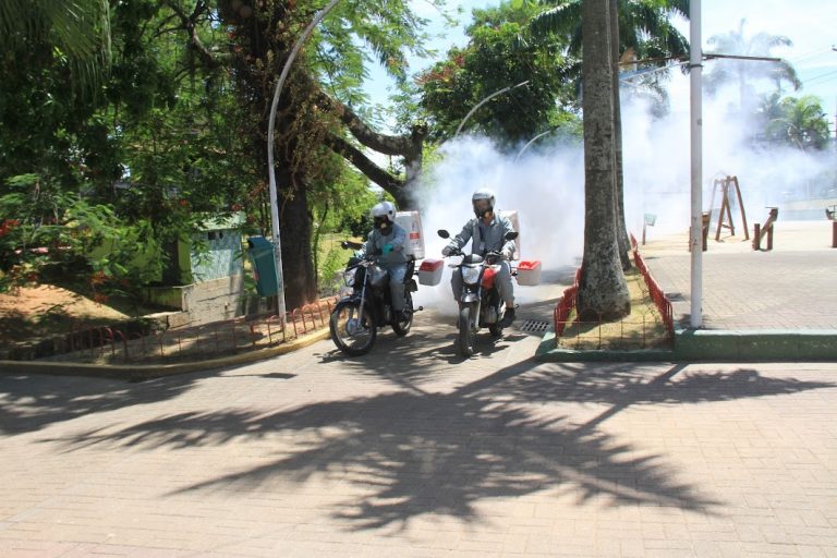 SG: Vigilância Ambiental segue combate ao Aedes aegypti