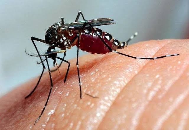 Maricá: Prefeito Fabiano Horta anuncia novas medidas de combate à dengue na cidade