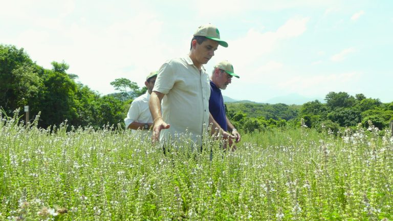Maricá: Prefeito visita fazenda orgânica da Codemar e vê oportunidades para mais desenvolvimento