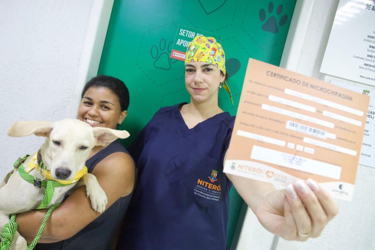 Ação Animal chega no Largo da Batalha com serviços gratuitos para pets