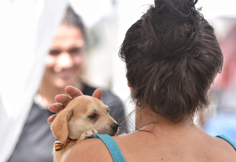 Maricá: Prefeitura promove campanha de adoção de cães e gatos em Itaipuaçu