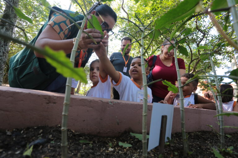 Em junho, Niterói destaca importância da preservação do meio ambiente