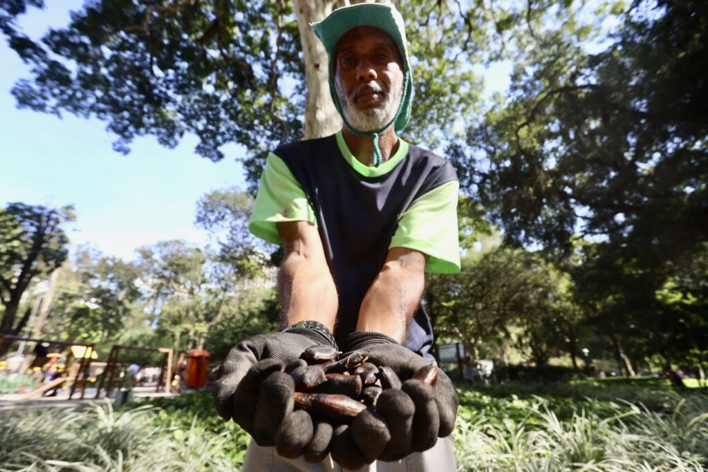 Museu Vivo no Campo de São Bento Conta a História do Brasil Através das Plantas