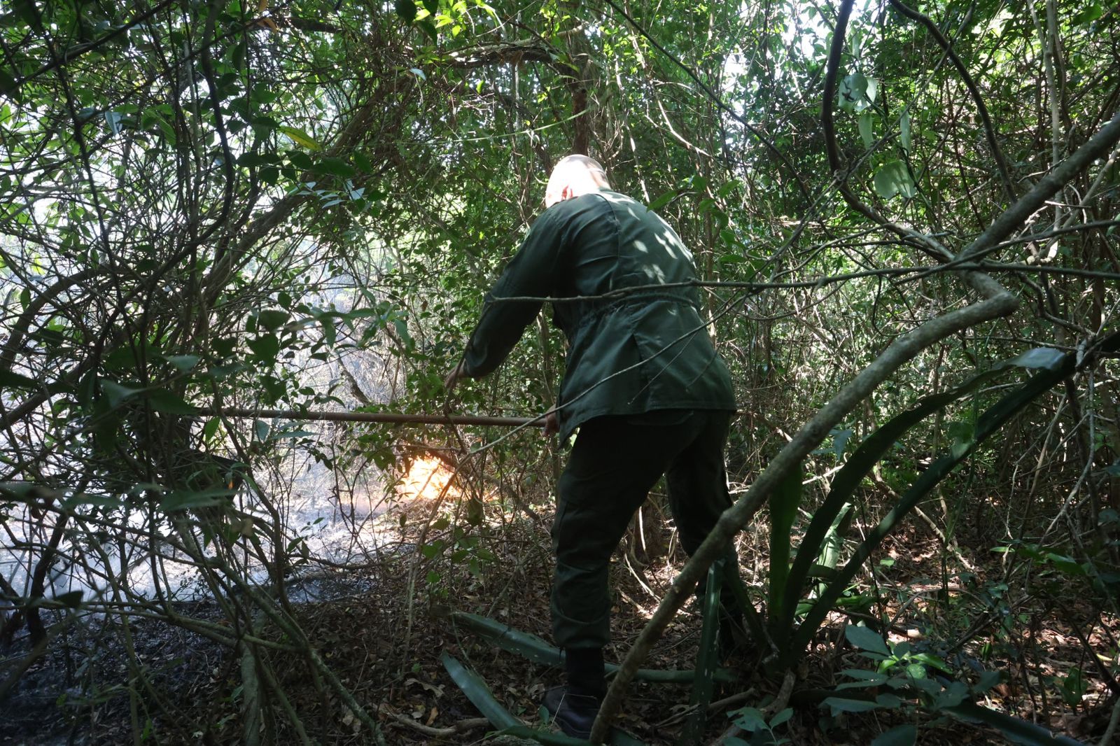 Equipes da Prefeitura de Niterói atuam no combate ao incêndio no Morro das Andorinhas, em Itaipu